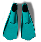 Turquoise flippers
