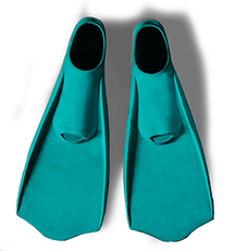 Turquoise flippers